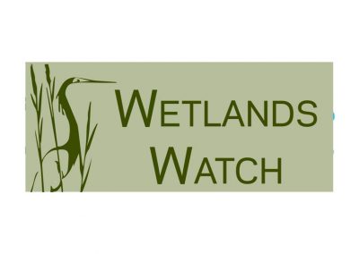 Wetlands Watch