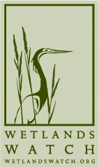Wetlands Watch